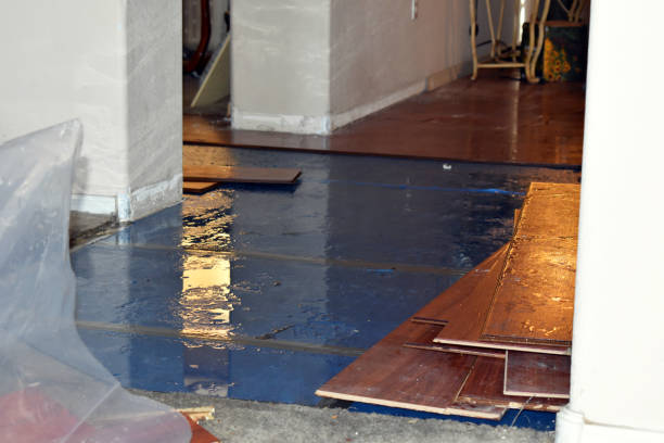 Professional Burst Pipe Cleanup technician working in Sunset, TX